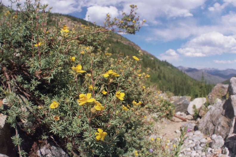 Baker Gulch Trail 16.jpg